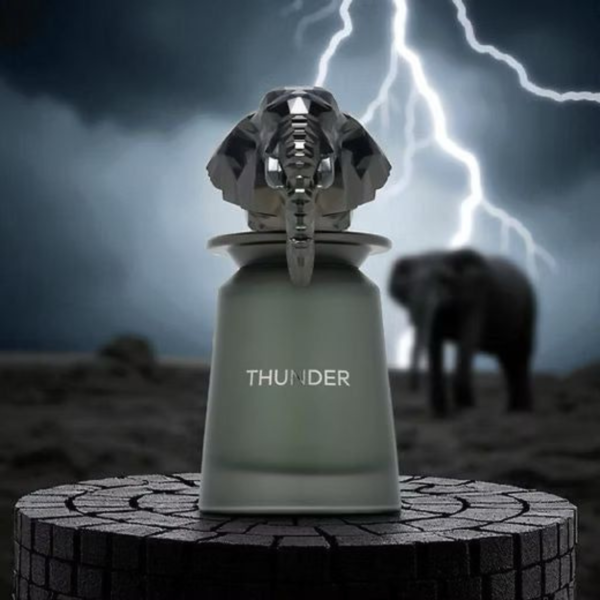 2 FRENCH AVENUE THUNDER - 100ML